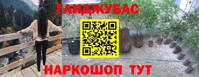 спайс Обь