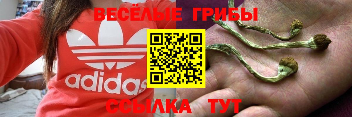 Псилоцибиновые грибы Cubensis Серпухов